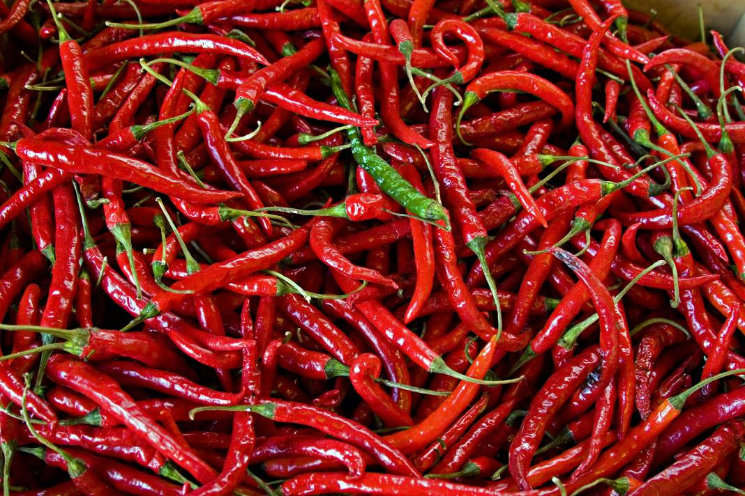 Market fiyatı tarlanın 5 katı! Kansere kalkan oluyor kalp krizini durduruyor - Resim: 1